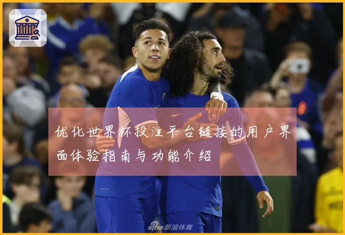 优化世界杯投注平台链接的用户界面体验指南与功能介绍
