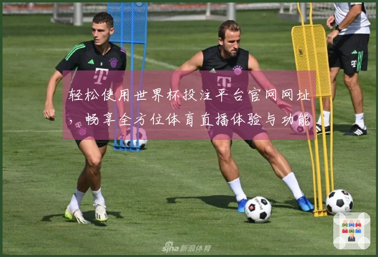 轻松使用世界杯投注平台官网网址，畅享全方位体育直播体验与功能介绍