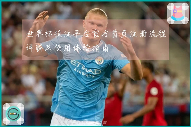 世界杯投注平台官方首页注册流程详解及使用体验指南