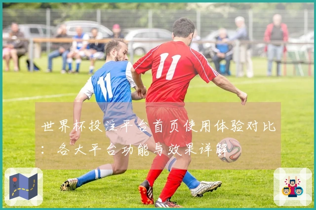 世界杯投注平台首页使用体验对比：各大平台功能与效果详解