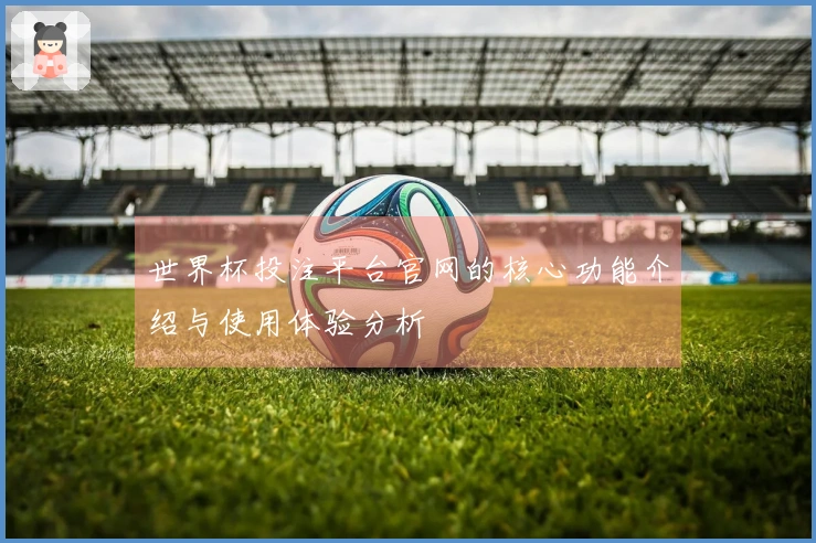 世界杯投注平台官网的核心功能介绍与使用体验分析