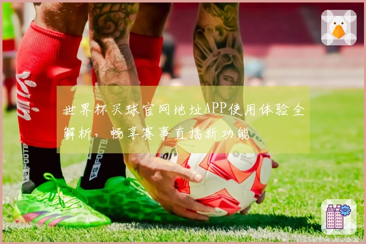 世界杯买球官网地址APP使用体验全解析，畅享赛事直播新功能