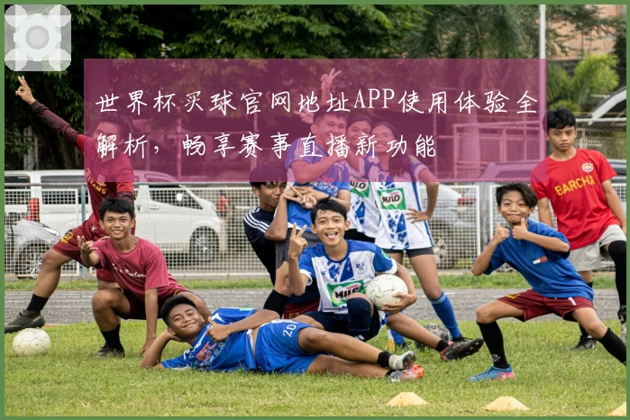 世界杯买球官网地址APP使用体验全解析,畅享赛事直播新功能