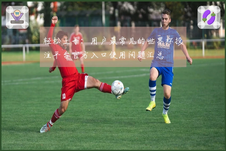 轻松上手：用户最常见的世界杯投注平台官方入口使用问题汇总