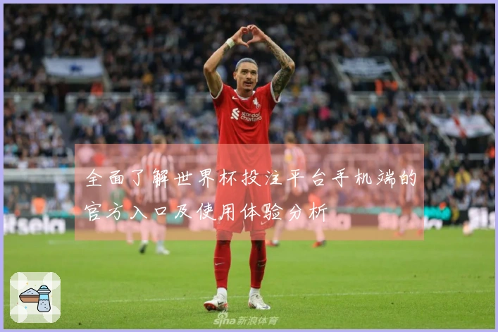 全面了解世界杯投注平台手机端的官方入口及使用体验分析