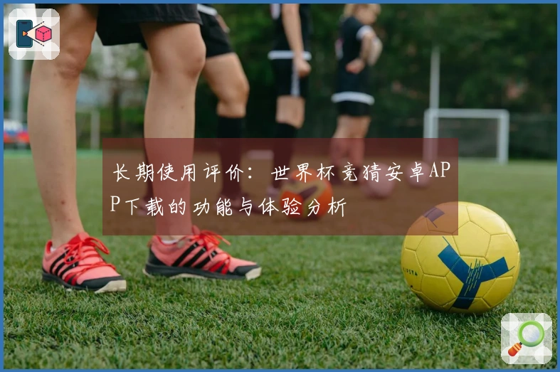 长期使用评价：世界杯竞猜安卓APP下载的功能与体验分析