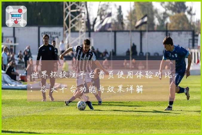 世界杯投注平台首页使用体验对比：各大平台功能与效果详解