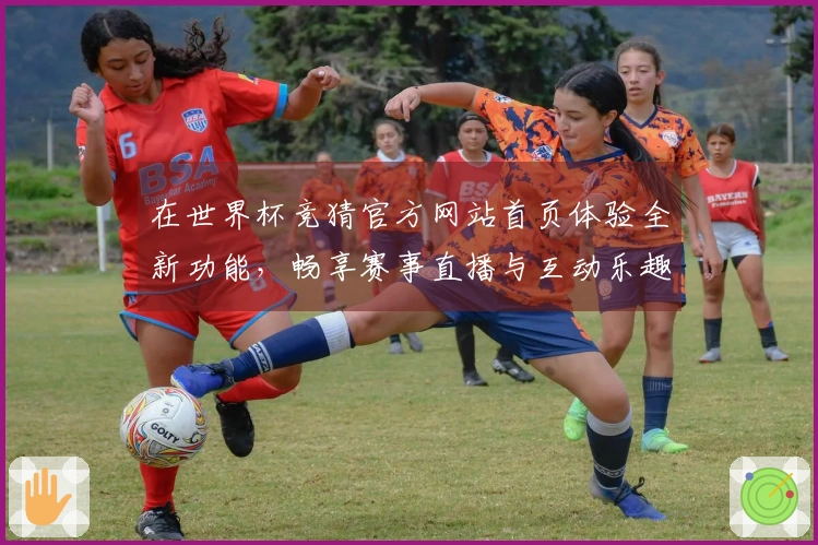 在世界杯竞猜官方网站首页体验全新功能，畅享赛事直播与互动乐趣