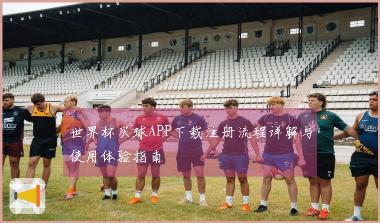 世界杯买球APP下载注册流程详解与使用体验指南