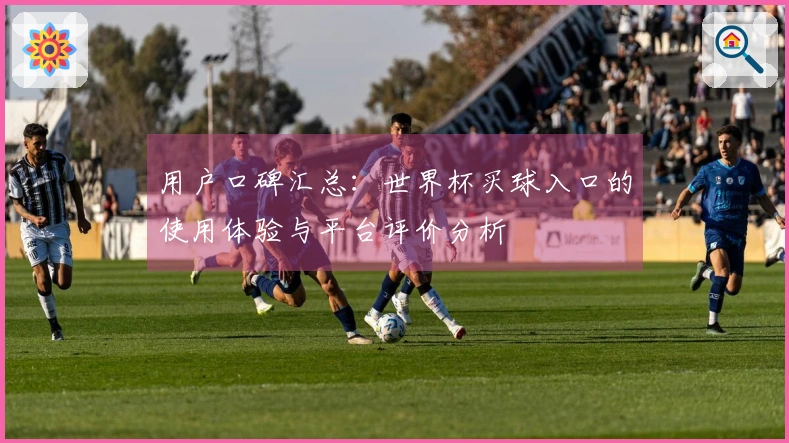 用户口碑汇总：世界杯买球入口的使用体验与平台评价分析