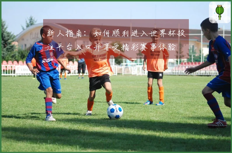 新人指南:如何顺利进入世界杯投注平台入口并享受精彩赛事体验