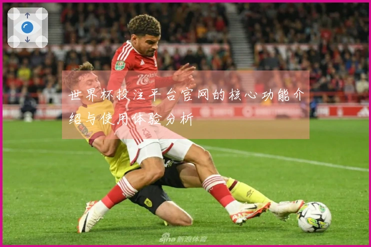 世界杯投注平台官网的核心功能介绍与使用体验分析