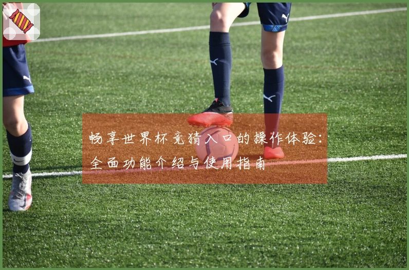 畅享世界杯竞猜入口的操作体验：全面功能介绍与使用指南