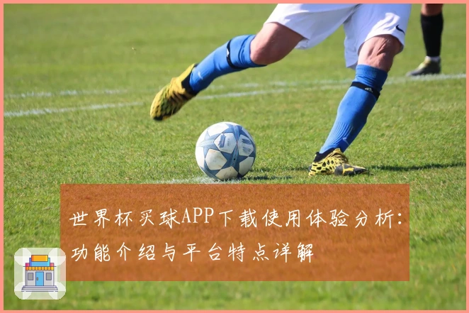 世界杯买球APP下载使用体验分析：功能介绍与平台特点详解