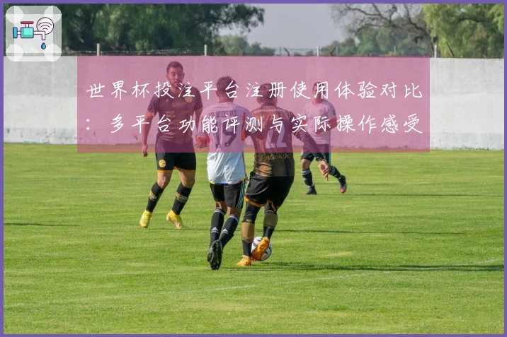 世界杯投注平台注册使用体验对比：多平台功能评测与实际操作感受总结