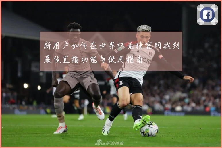 新用户如何在世界杯竞猜官网找到最佳直播功能与使用指南