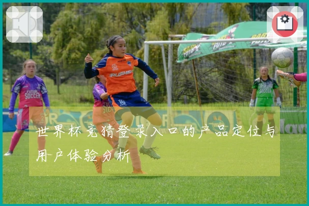 世界杯竞猜登录入口的产品定位与用户体验分析